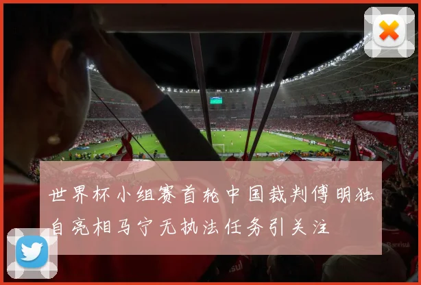 世界杯小组赛首轮中国裁判傅明独自亮相马宁无执法任务引关注