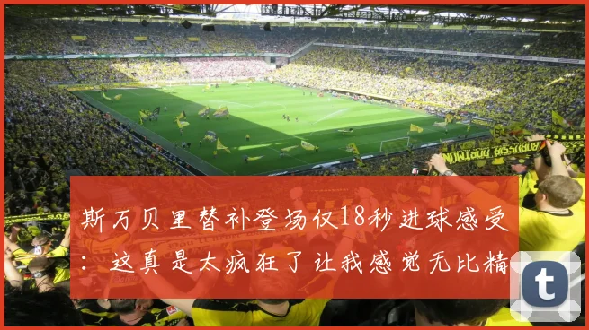 斯万贝里替补登场仅18秒进球感受：这真是太疯狂了让我感觉无比精彩
